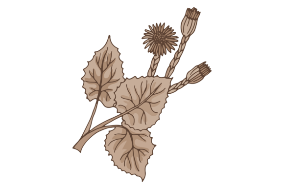 Calendula Herb: An Embroidery Designer’s Practical Review